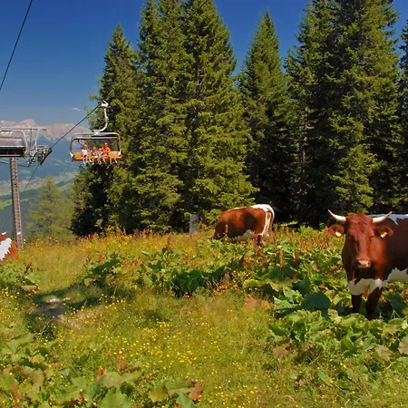 בית נופש Nikola By Interhome פלאכאו