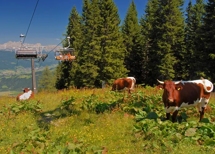 Casa vacanze Nikola By Interhome Flachau